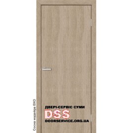 Дверний блок ОМіС глухий